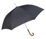 Guarda-chuva
